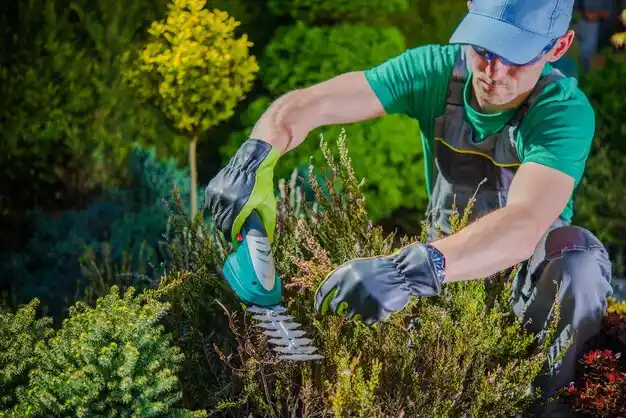 landscaping services Reynoldsburg